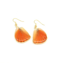 Load image into Gallery viewer, Butterfly drop earrings 04