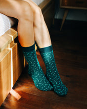 Load image into Gallery viewer, Cactus Socks - Astros