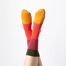 Load image into Gallery viewer, Tex-Mex Socks -Taco