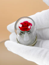 Load image into Gallery viewer, Dollhouse Miniature Artificial rose flower in glass set
