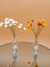 Load image into Gallery viewer, Glass vase with white dry flowers  Set of 2
