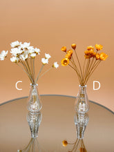 Load image into Gallery viewer, Glass vase with white dry flowers  Set of 2
