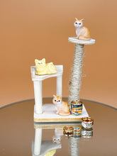 Load image into Gallery viewer, Cat Scratching Post, cat can set 1
