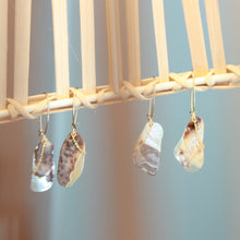 Load image into Gallery viewer, Seashell chain earrings
