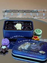 Load image into Gallery viewer, Miniature tin box chocolate, cookies &amp; biscuits, Kawaii Japan miniature, Tiny iron box - cat
