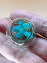 Load image into Gallery viewer, Miniature Succulent Plant 1: Small Glass Pot Decor (Set of 2)
