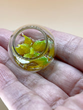 Load image into Gallery viewer, Miniature Succulent Plant 2: Small Glass Pot Decor (Set of 2)
